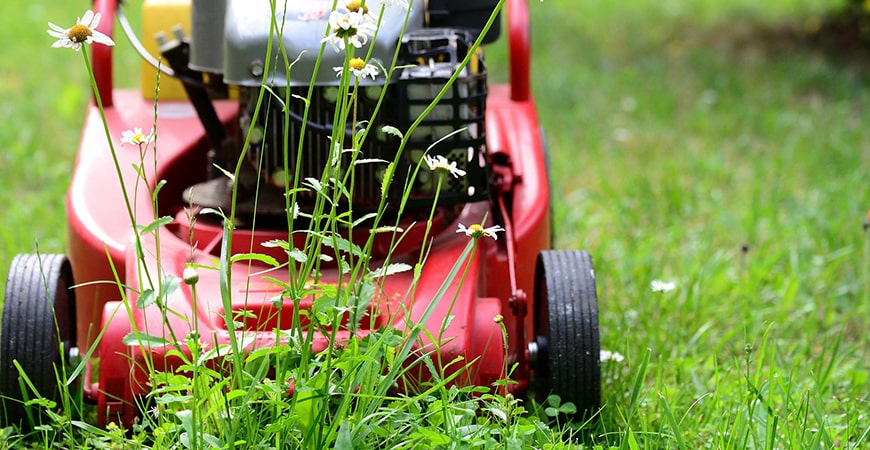 Gartenpflege